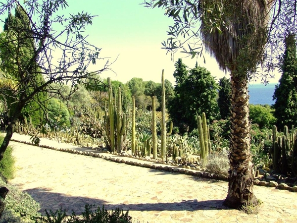 Jardi Botanic Pinya de Rosa