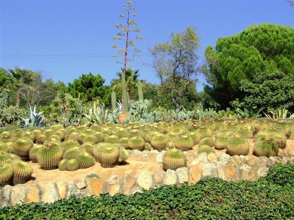 Jardi Botanic Pinya de Rosa