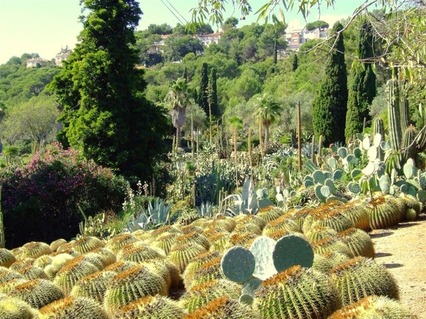 Jardi Botanic Pinya de Rosa