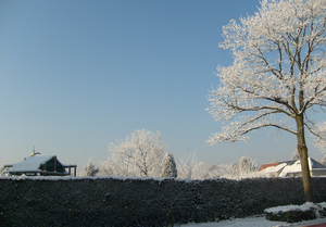 sneeuw in ons dorp