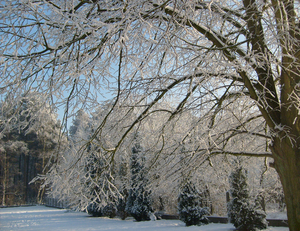 sneeuw in ons dorp