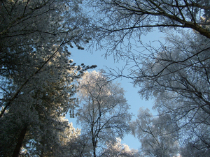 sneeuw in Vosselaar