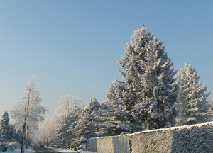 sneeuw in ons dorp