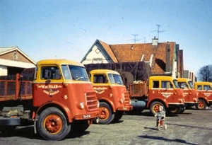 Line Up