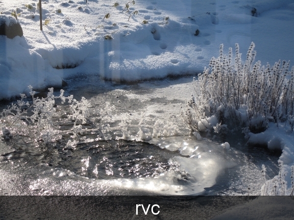 200901 sneeuwwandeling 121