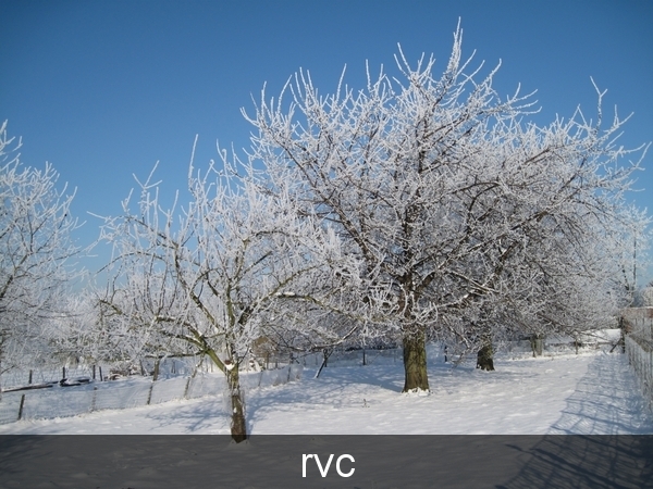 200901 sneeuwwandeling 155