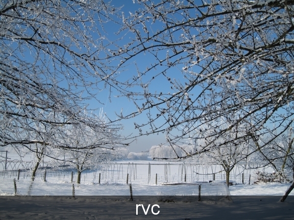 200901 sneeuwwandeling 159