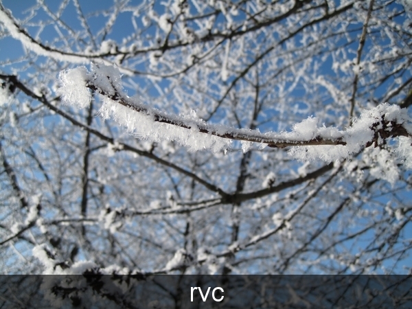 200901 sneeuwwandeling 160