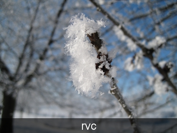 200901 sneeuwwandeling 161