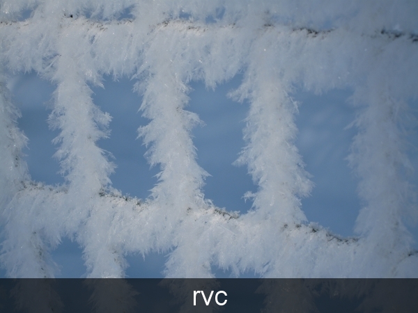 200901 sneeuwwandeling 173