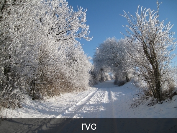 200901 sneeuwwandeling 183