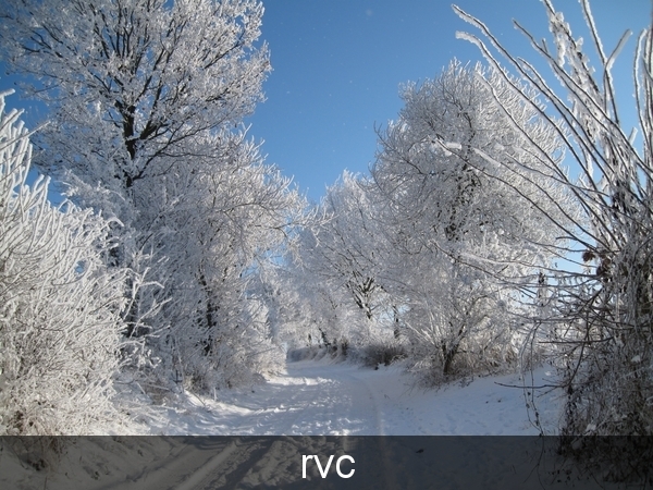 200901 sneeuwwandeling 184