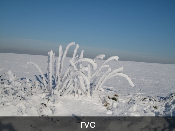 200901 sneeuwwandeling 188