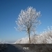 200901 sneeuwwandeling 195