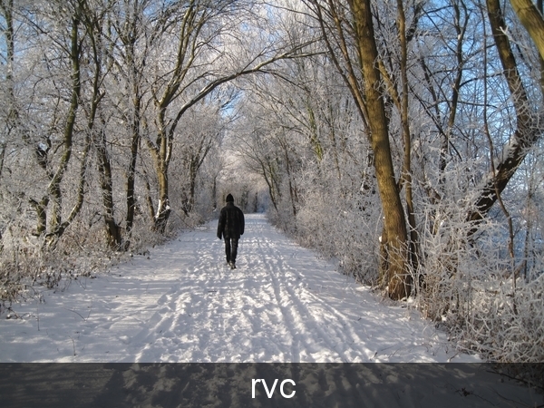 200901 sneeuwwandeling 234