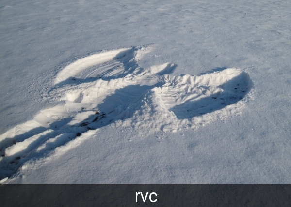 200901 sneeuwwandeling 058