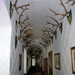Kasteel Orlik 010