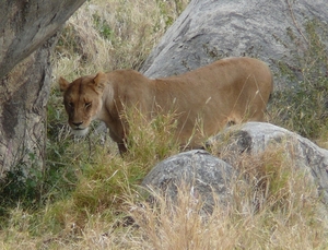 P1000898