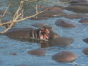 P1000947