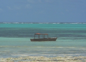 P1010169