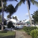 southernpalms