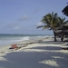dani beach