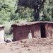 masaihut