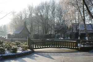 winter 2009