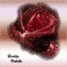 bloem