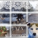 winter2