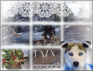 winter2