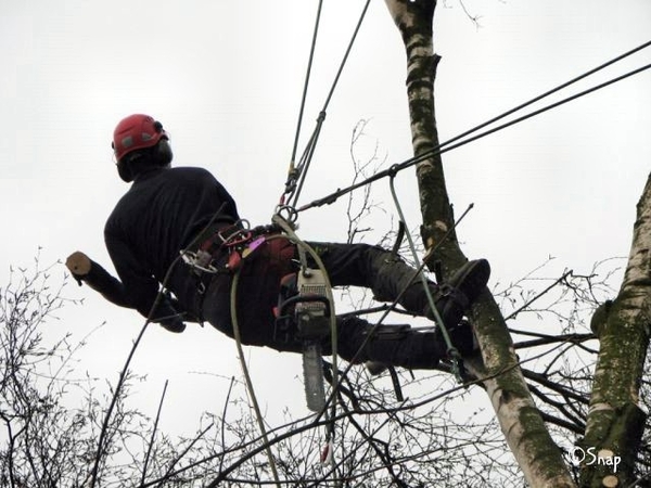 IMG_0555 [Desktop Resolutie]