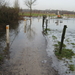 Afbeelding 077