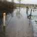 Afbeelding 078