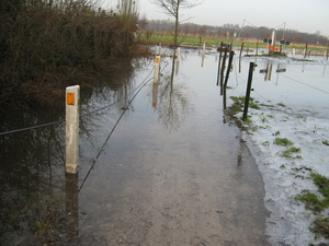 Afbeelding 078