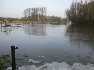Afbeelding 081
