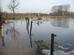 Afbeelding 082