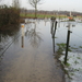 Afbeelding 083
