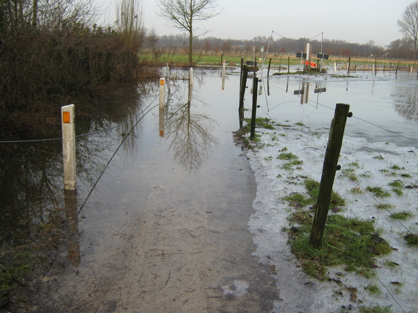 Afbeelding 084