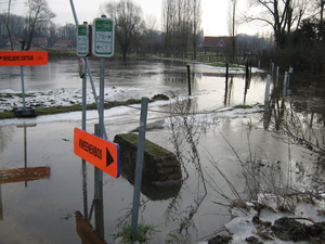 Afbeelding 089