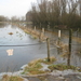 Afbeelding 090