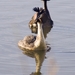 20080428 balts9729