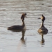 20080428 balts9740 copy