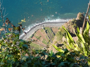 P1010411