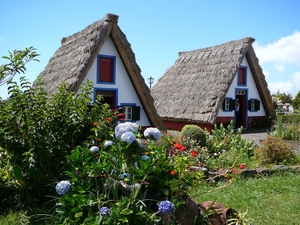 P1010436