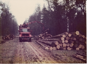 Bomen Laden