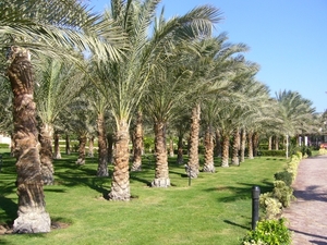 P1010082