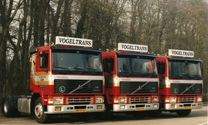 vogeltrans leek holland foto 1