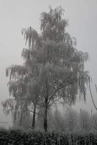 Winterzicht 1