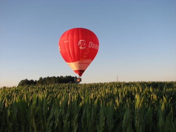 rakelings boven de mais